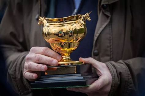 cheltenham gold cup sweepstakes